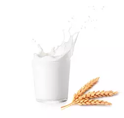 
                    Allergens on the meal plan                